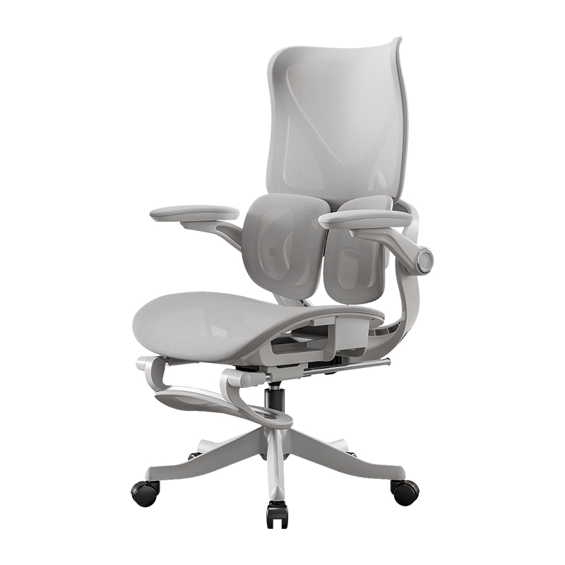 Esports Gaming Furniture - Multifunctional Computer Office Chair Lumbar Double